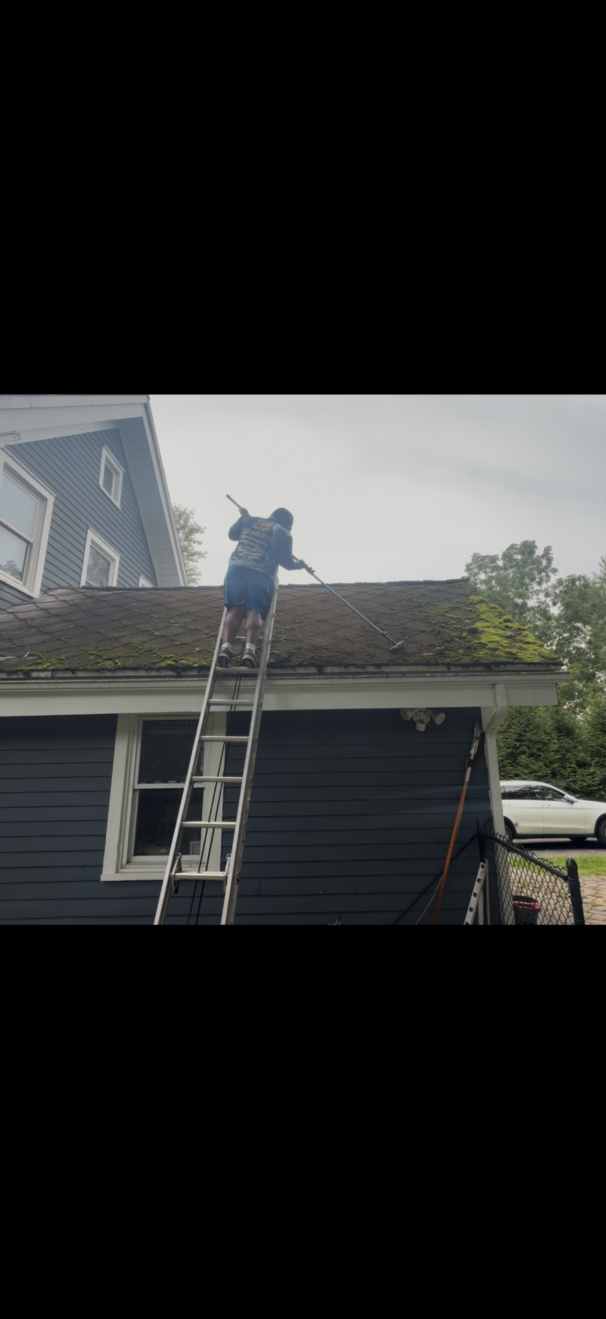 Worker scrubbing thick green moss off brown shingles during a Hudson Valley roof washing
