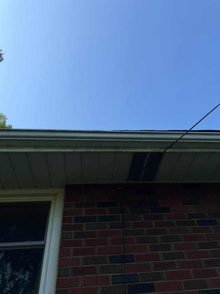Gutter line and soffit on a brick home before cleaning