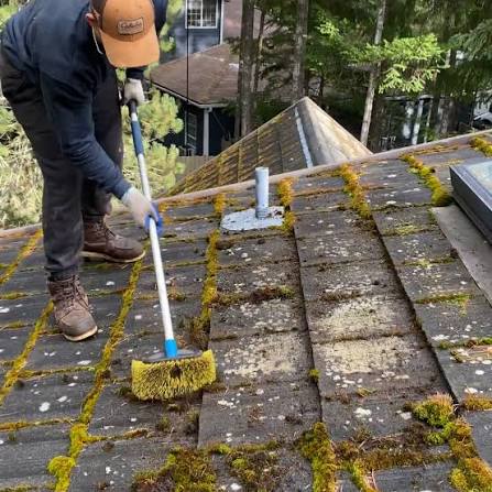 Roof Washing in the Hudson Valley
